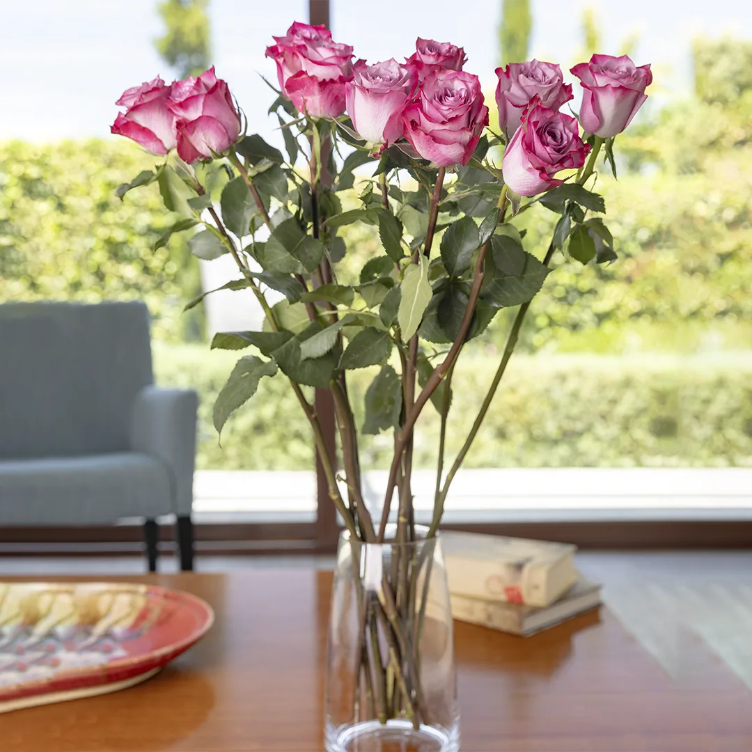 SmartPlan Trimestral