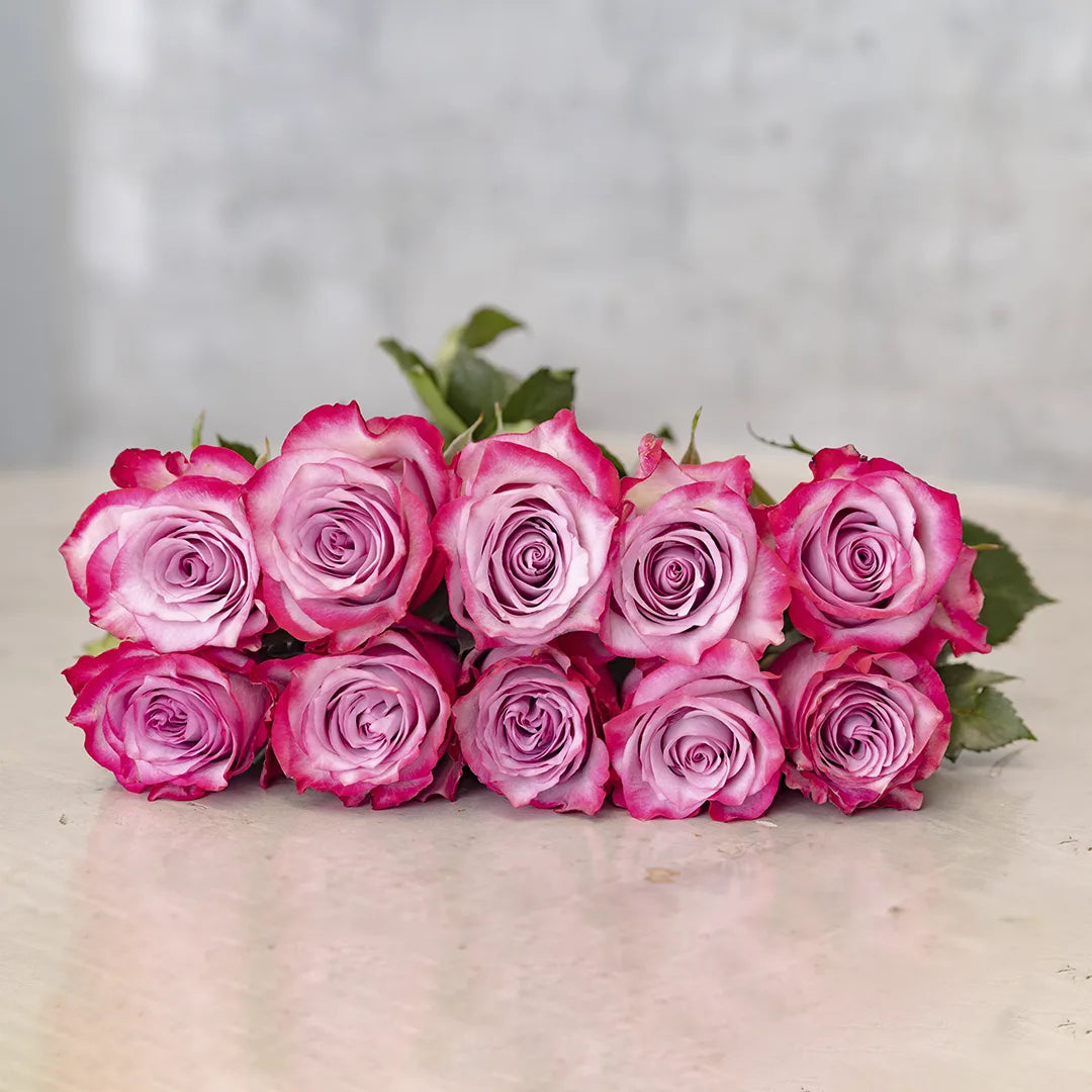 Smart 12 Rosas